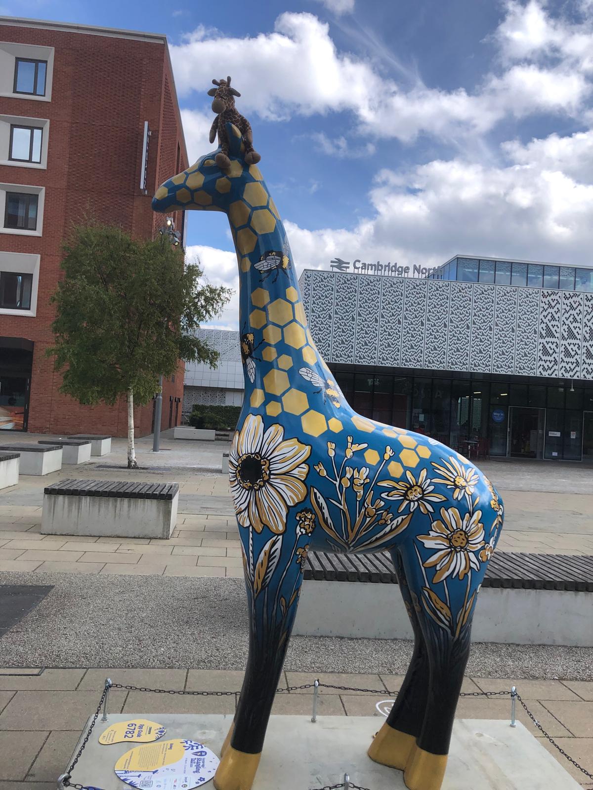 Giraffe d’Cambridge