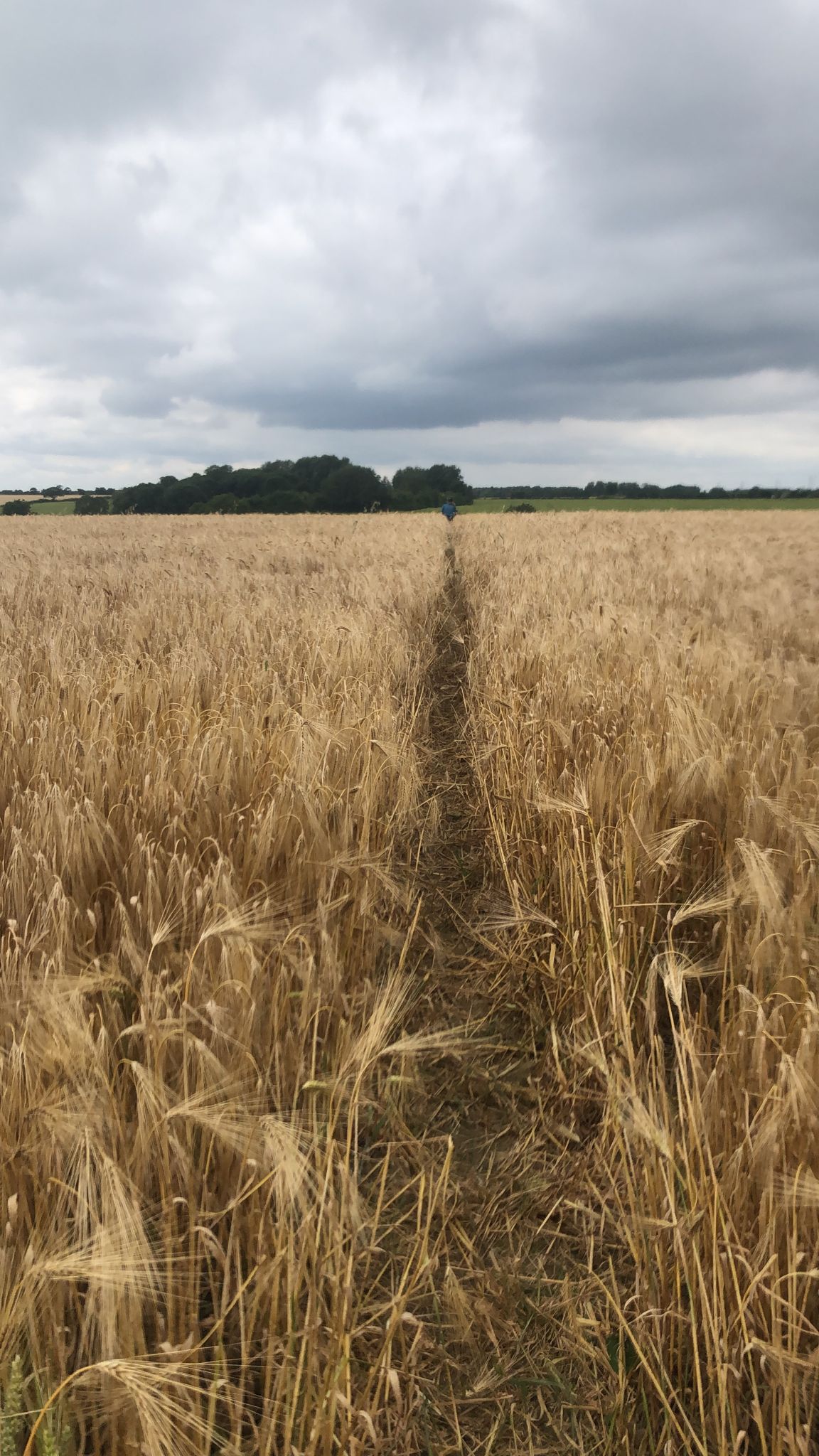 Watch Out for the Hole