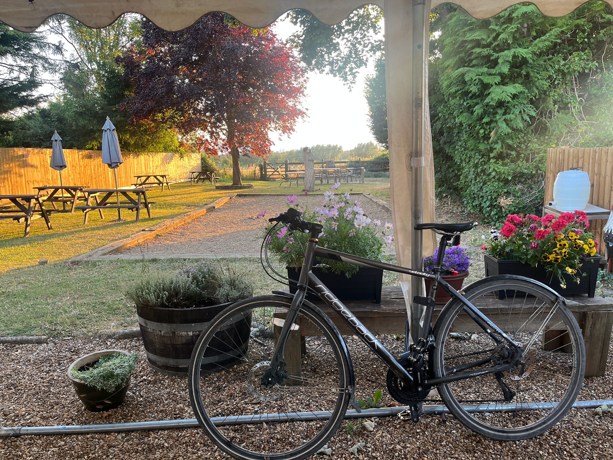 Nice Evening for a Bike Ride